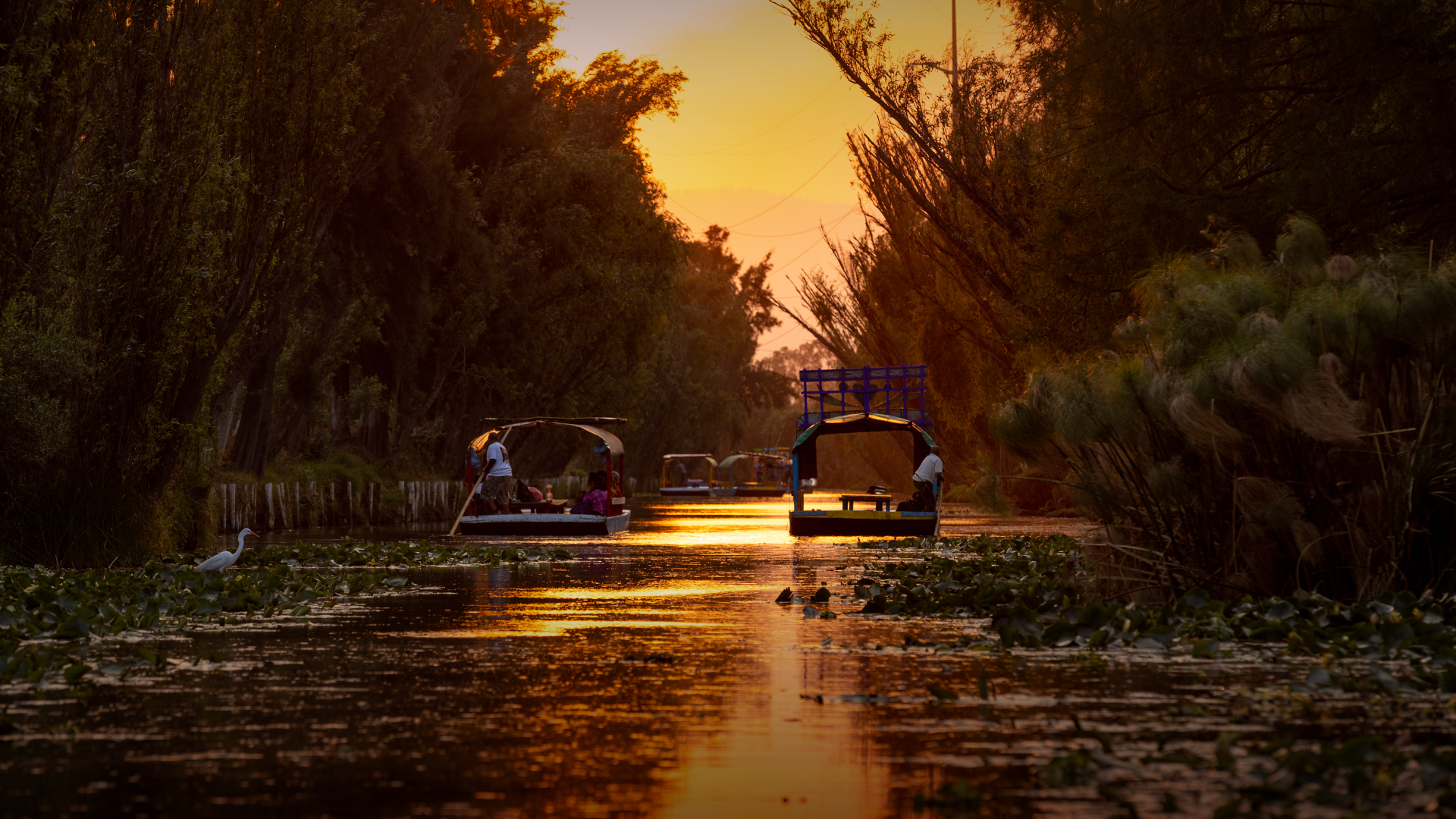 Xochimilco-Boat-Party